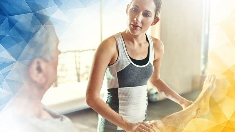 Meniscus Health and Ageing Effects