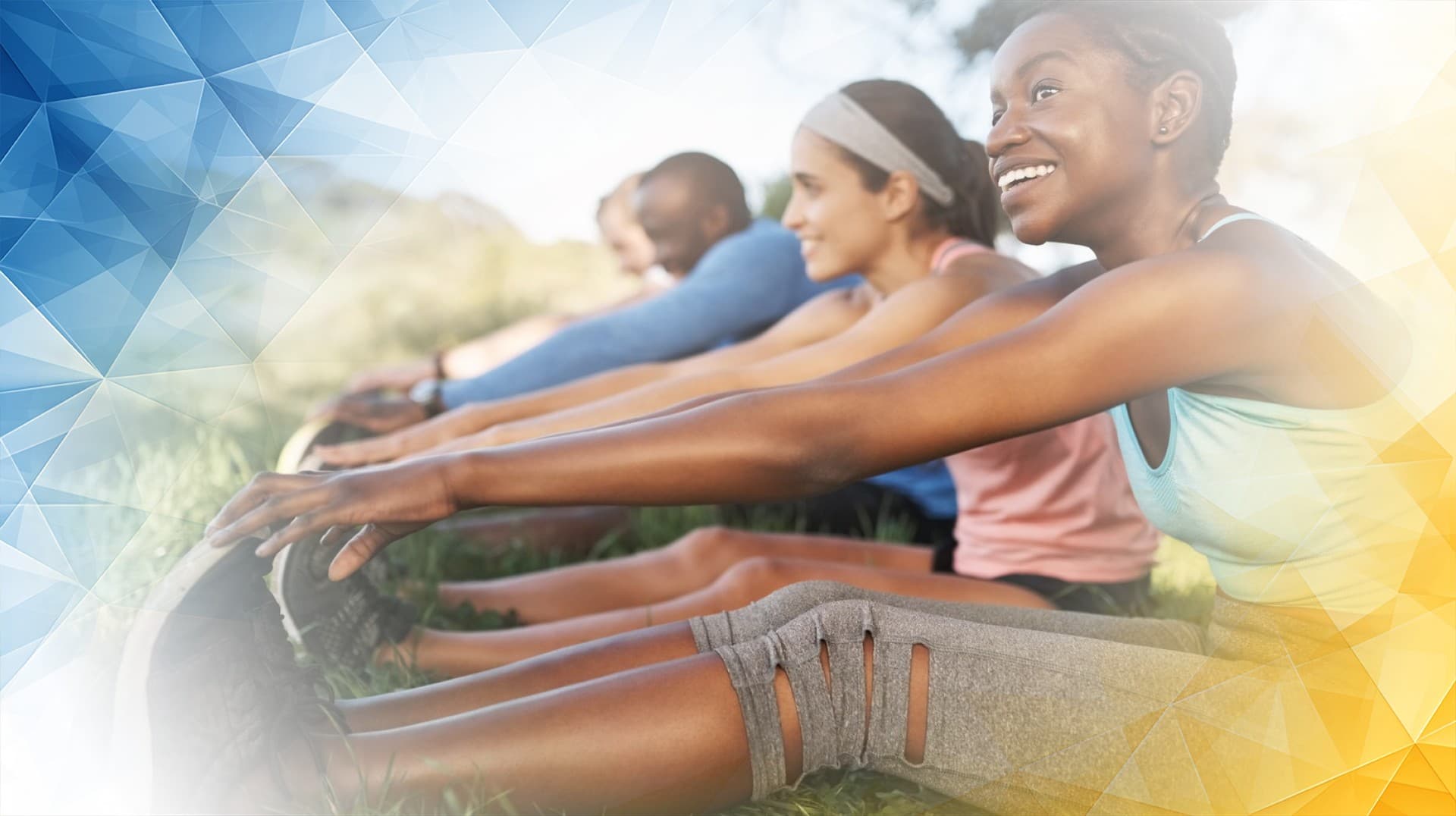 Menisci Anatomy and Their Crucial Role in Knee Function